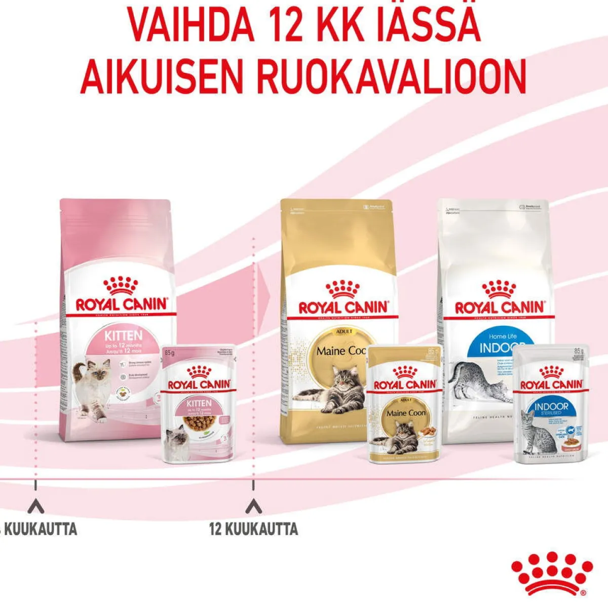 Kitten Gravy 85g, 48-pack>Royal Canin Hot