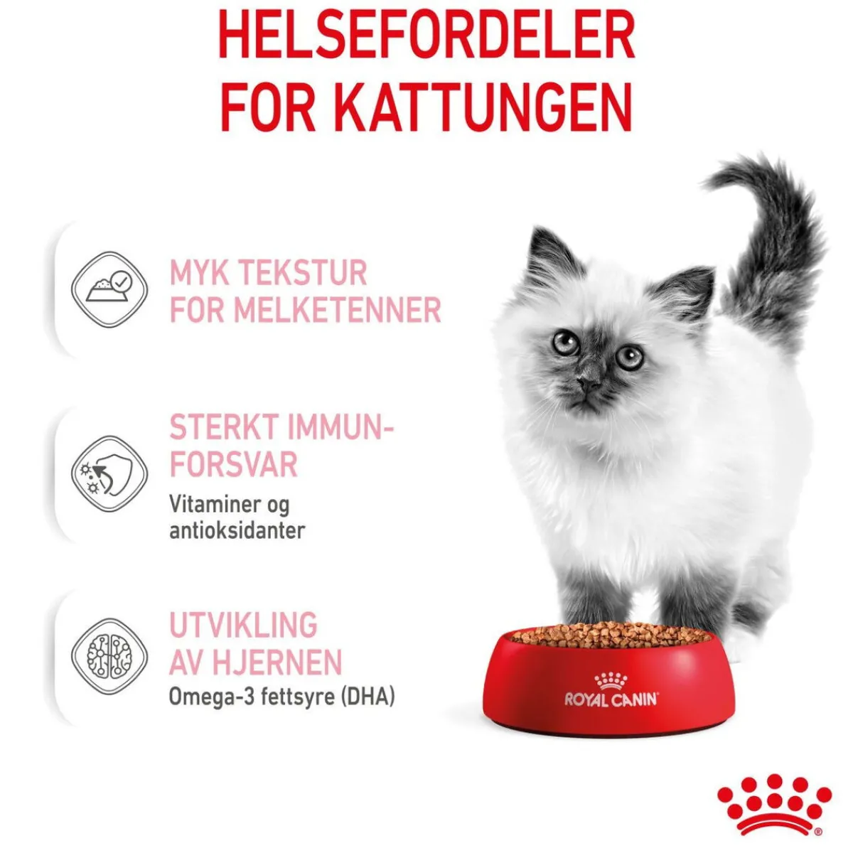Kitten Gravy 85g, 48-pack>Royal Canin Hot