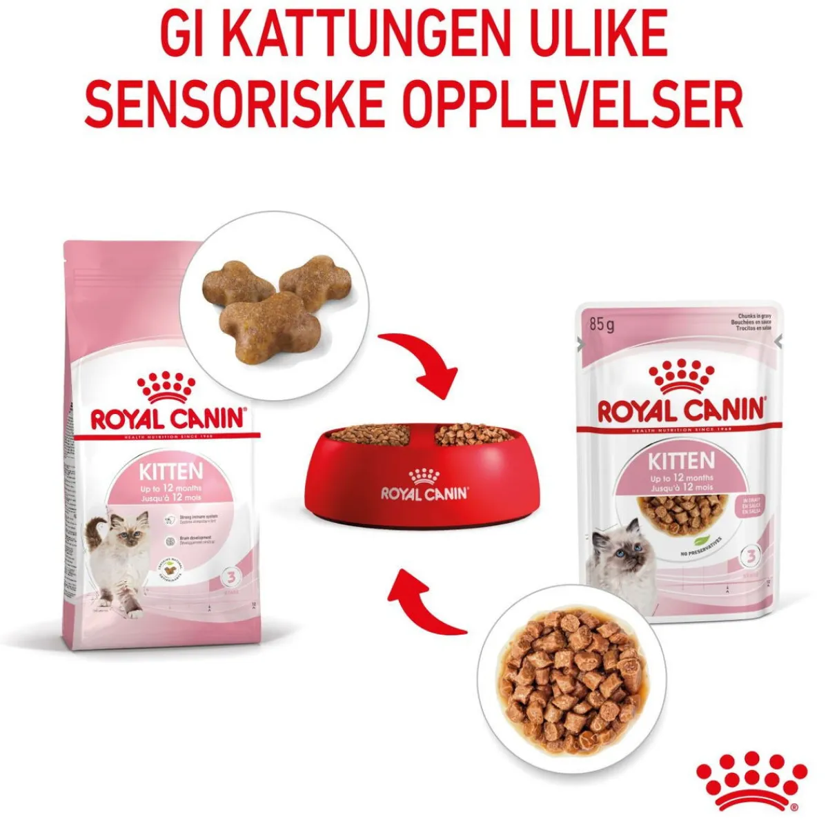 Kitten Gravy 85g, 48-pack>Royal Canin Hot