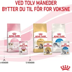 Kitten Gravy 85g, 48-pack>Royal Canin Hot