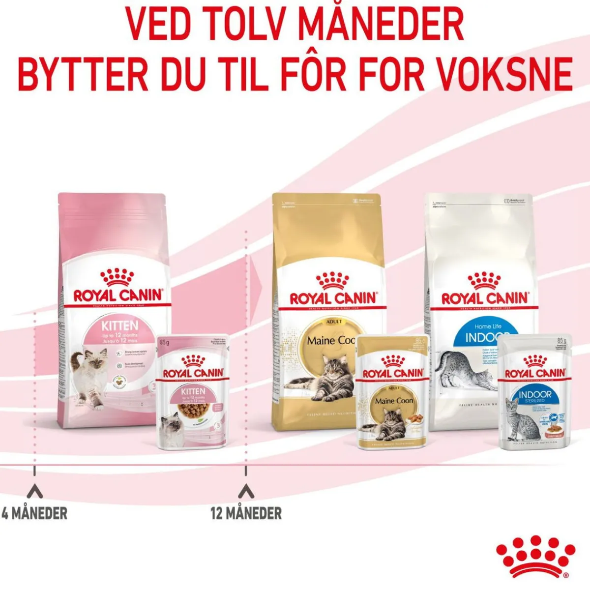 Kitten Gravy 85g, 48-pack>Royal Canin Hot