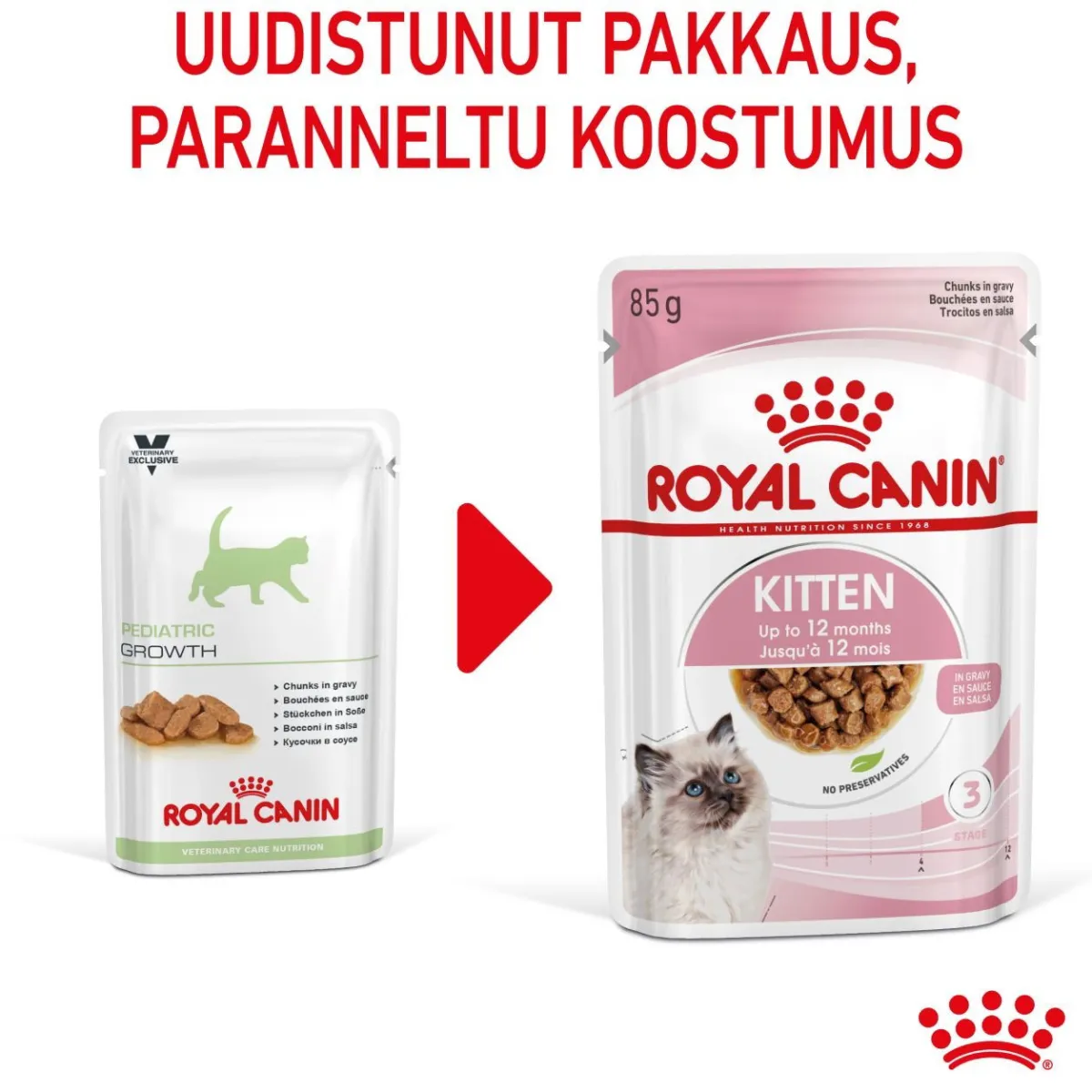 Kitten Gravy, 12x85g>Royal Canin Clearance