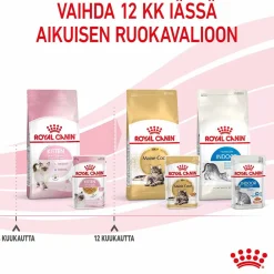 Kitten Jelly, 12x85g>Royal Canin Best