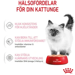 Kitten Loaf 85g, 48-pack>Royal Canin Sale