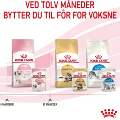 Kitten Loaf 85g, 48-pack>Royal Canin Sale
