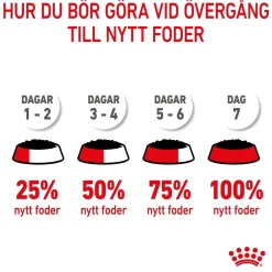 Kitten Loaf 85g, 48-pack>Royal Canin Sale