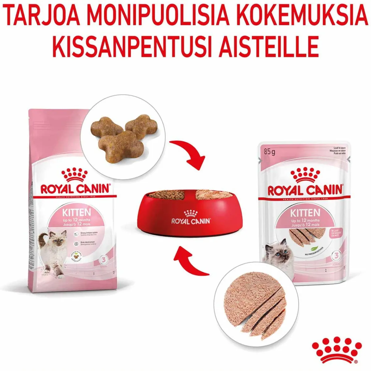 Kitten Loaf, 12x85g>Royal Canin Online