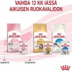 Kitten Loaf, 12x85g>Royal Canin Online
