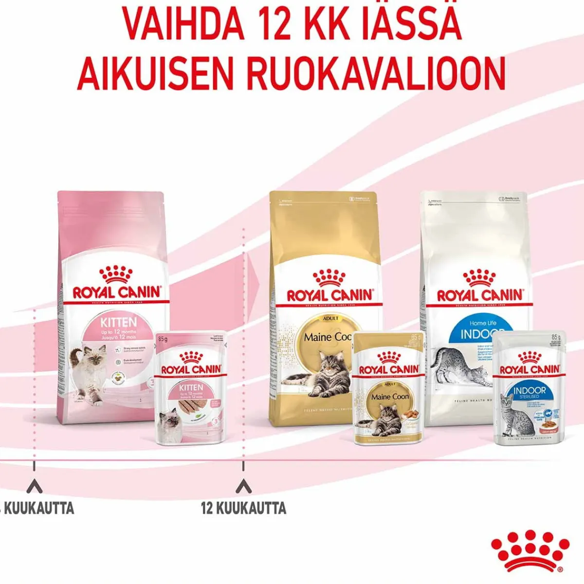 Kitten Loaf, 12x85g>Royal Canin Online
