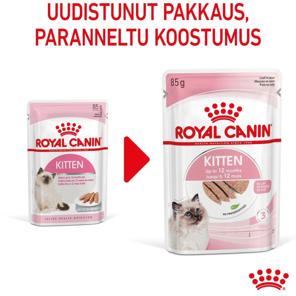 Kitten Loaf, 12x85g>Royal Canin Online