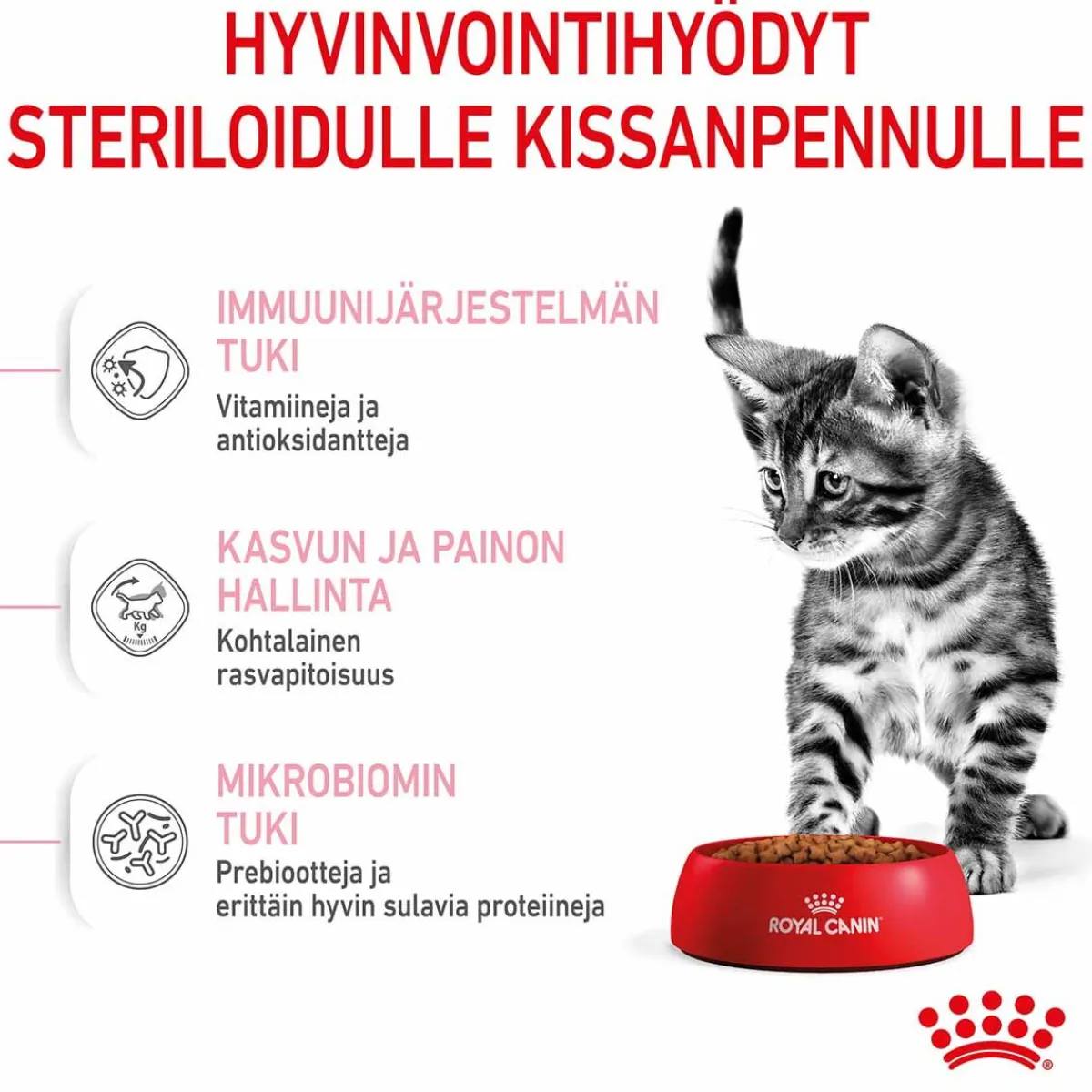 Kitten Sterilised>Royal Canin Clearance