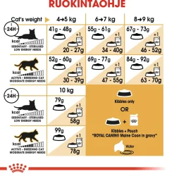 Maine Coon Adult>Royal Canin Clearance
