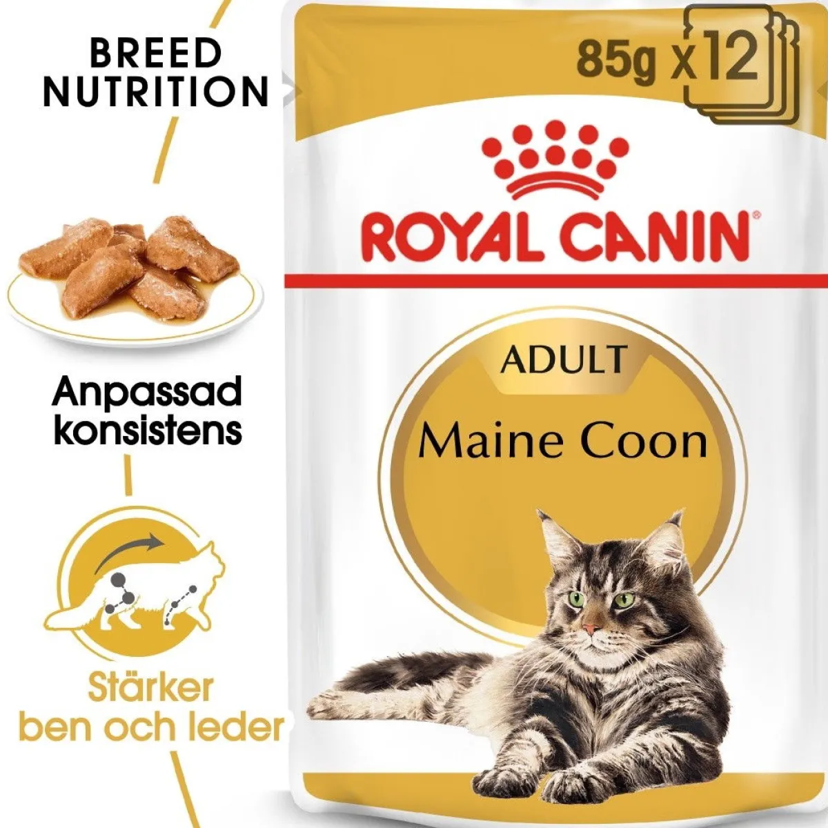 Maine Coon 85g, 48-pack>Royal Canin Best