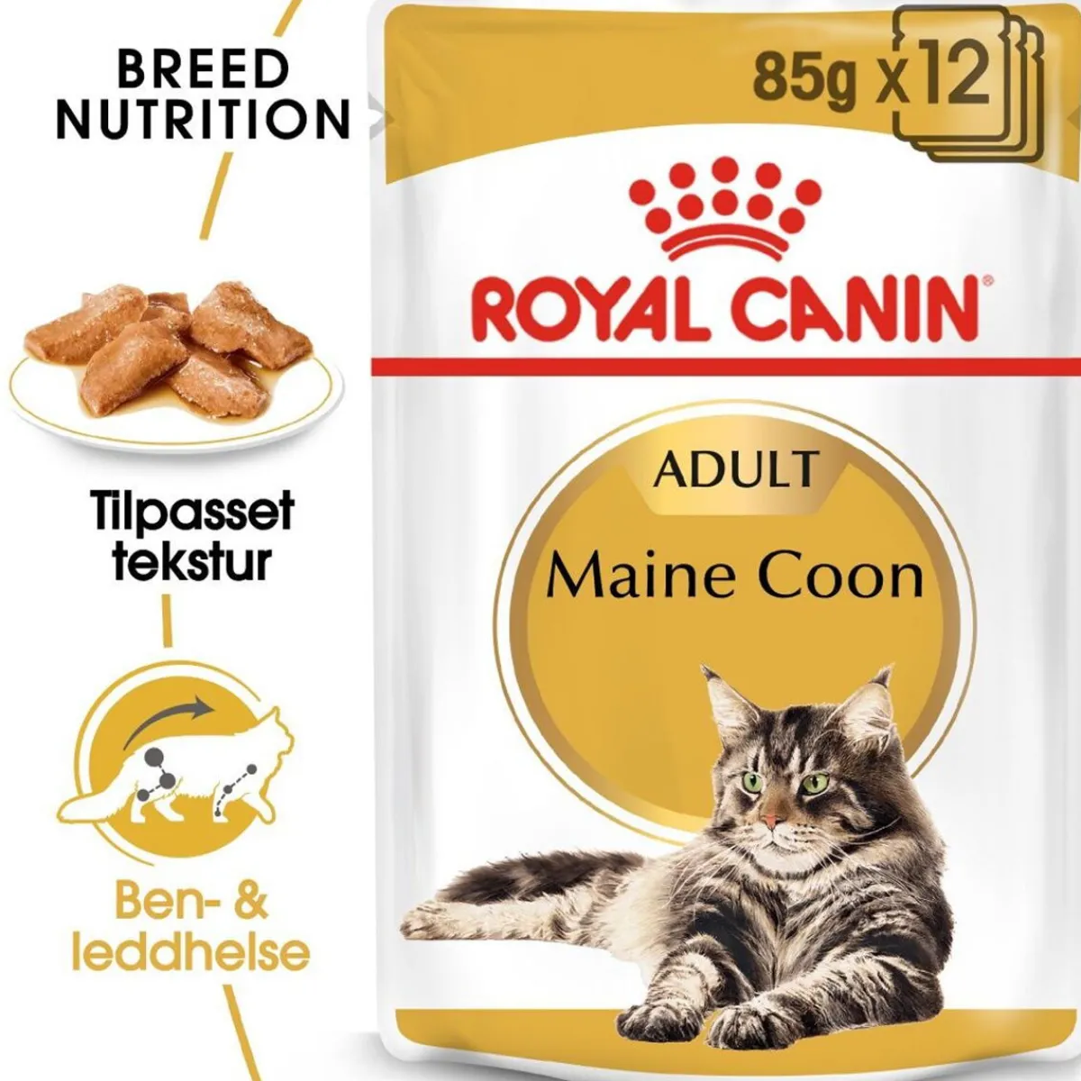 Maine Coon 85g, 48-pack>Royal Canin Best