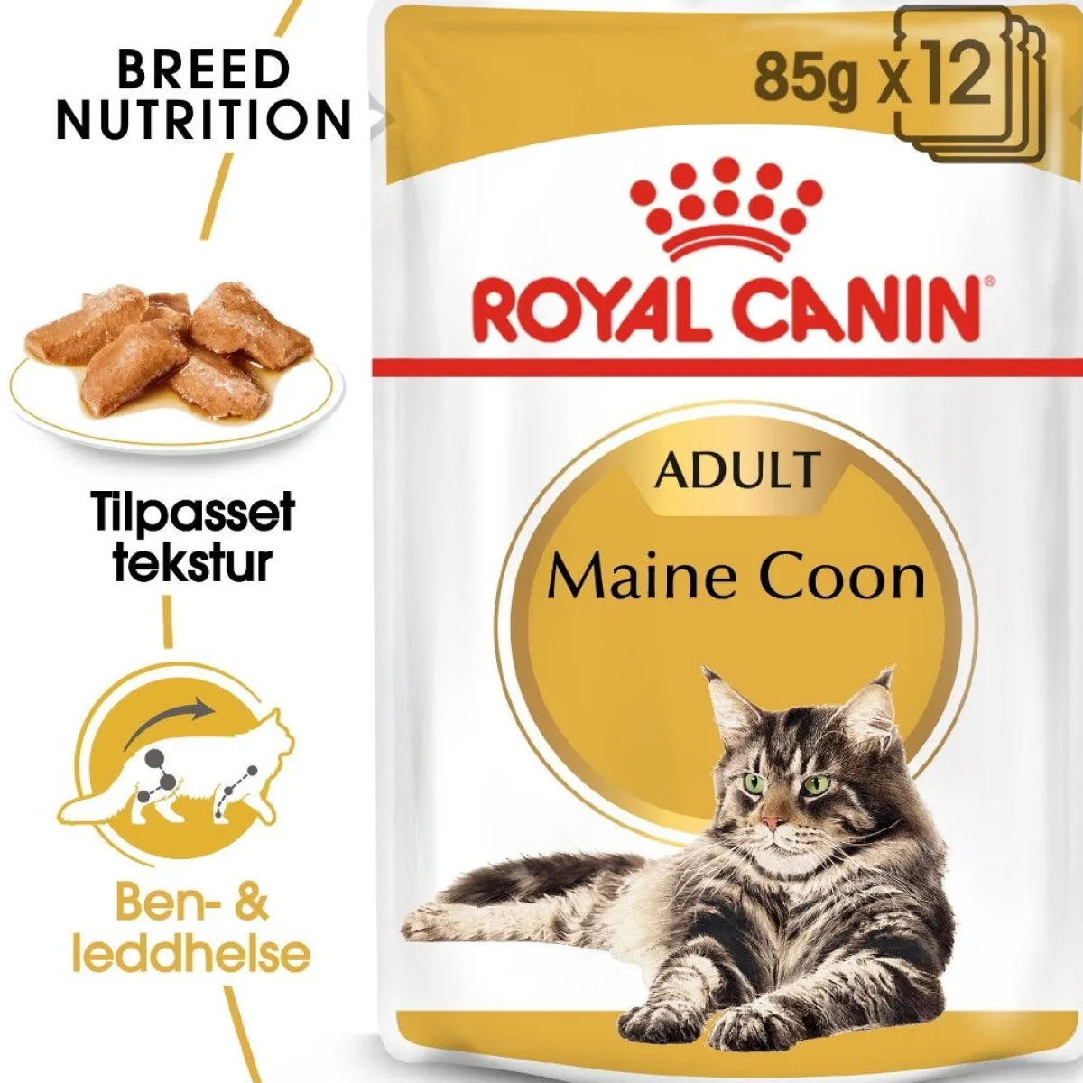 Maine Coon 85g, 48-pack>Royal Canin Best