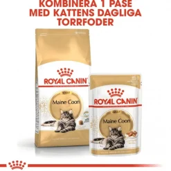 Maine Coon 85g, 48-pack>Royal Canin Best
