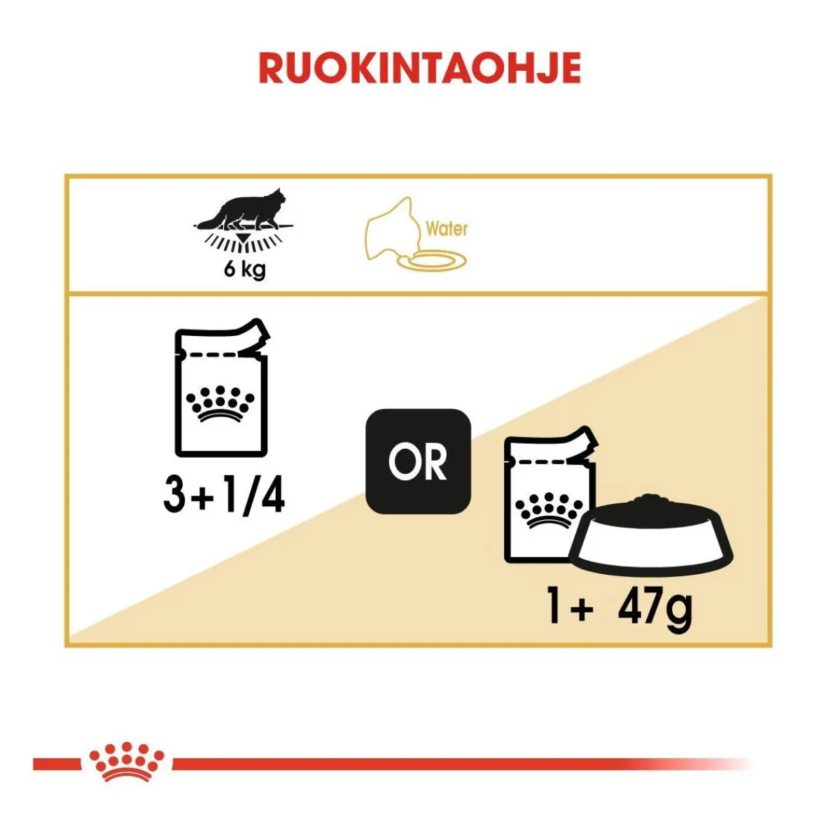 Maine Coon 85g, 48-pack>Royal Canin Best