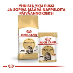Maine Coon 85g, 48-pack>Royal Canin Best