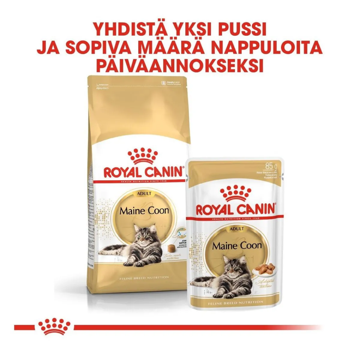 Maine Coon 85g, 48-pack>Royal Canin Best