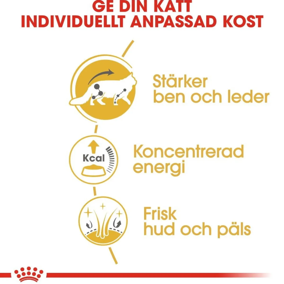 Maine Coon 85g, 48-pack>Royal Canin Best