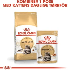 Maine Coon 85g, 48-pack>Royal Canin Best