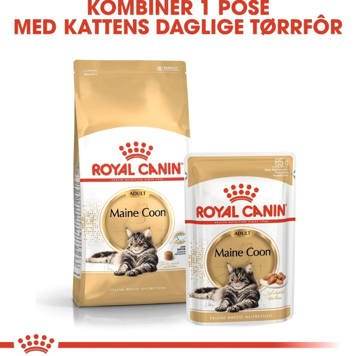 Maine Coon 85g, 48-pack>Royal Canin Best
