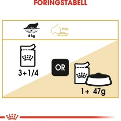 Maine Coon 85g, 48-pack>Royal Canin Best