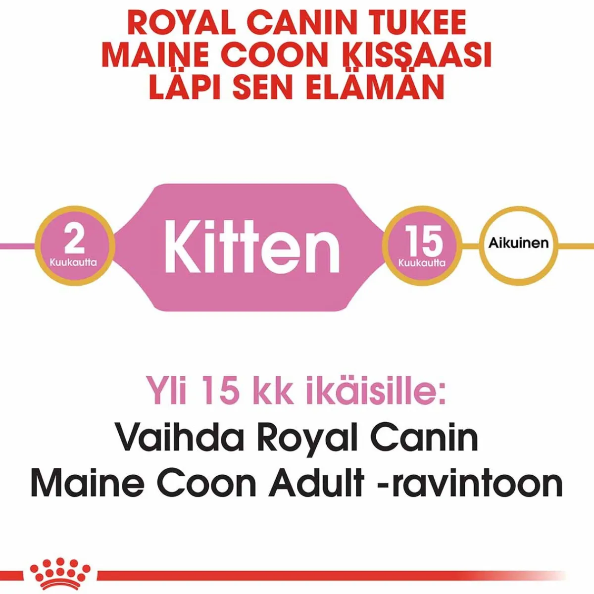 Maine Coon Kitten>Royal Canin Best