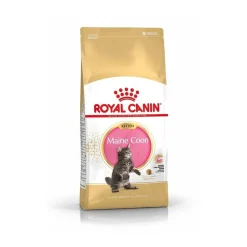 Maine Coon Kitten>Royal Canin Best