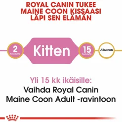 Maine Coon Kitten>Royal Canin Best