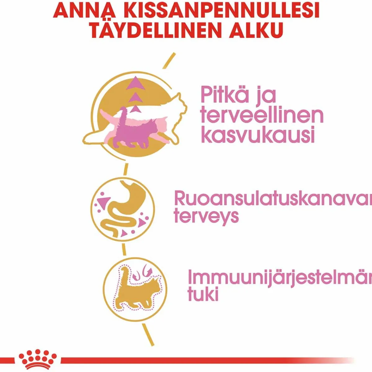 Maine Coon Kitten>Royal Canin Best
