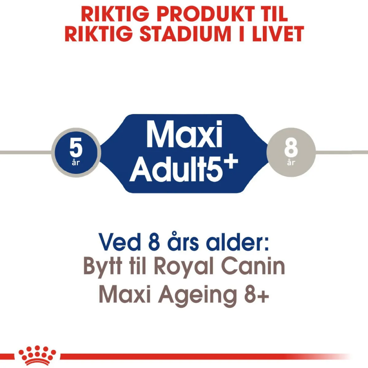 Maxi Adult 5+ 2 x 15kg>Royal Canin Online