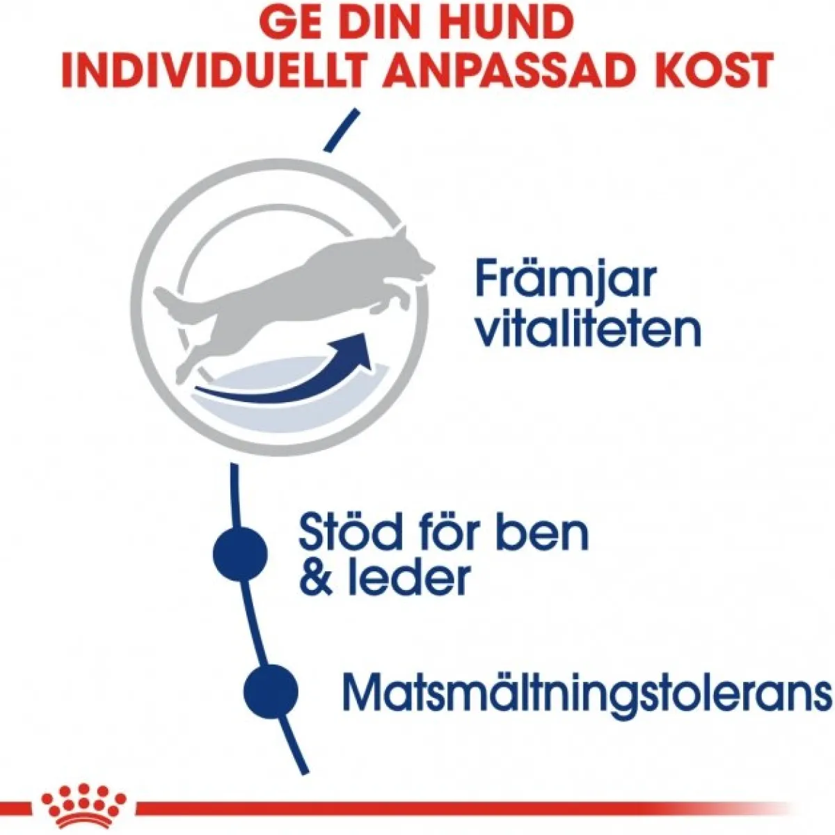 Maxi Adult 5+ 2 x 15kg>Royal Canin Online