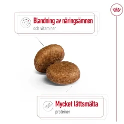 Maxi Adult 5+ 2 x 15kg>Royal Canin Online