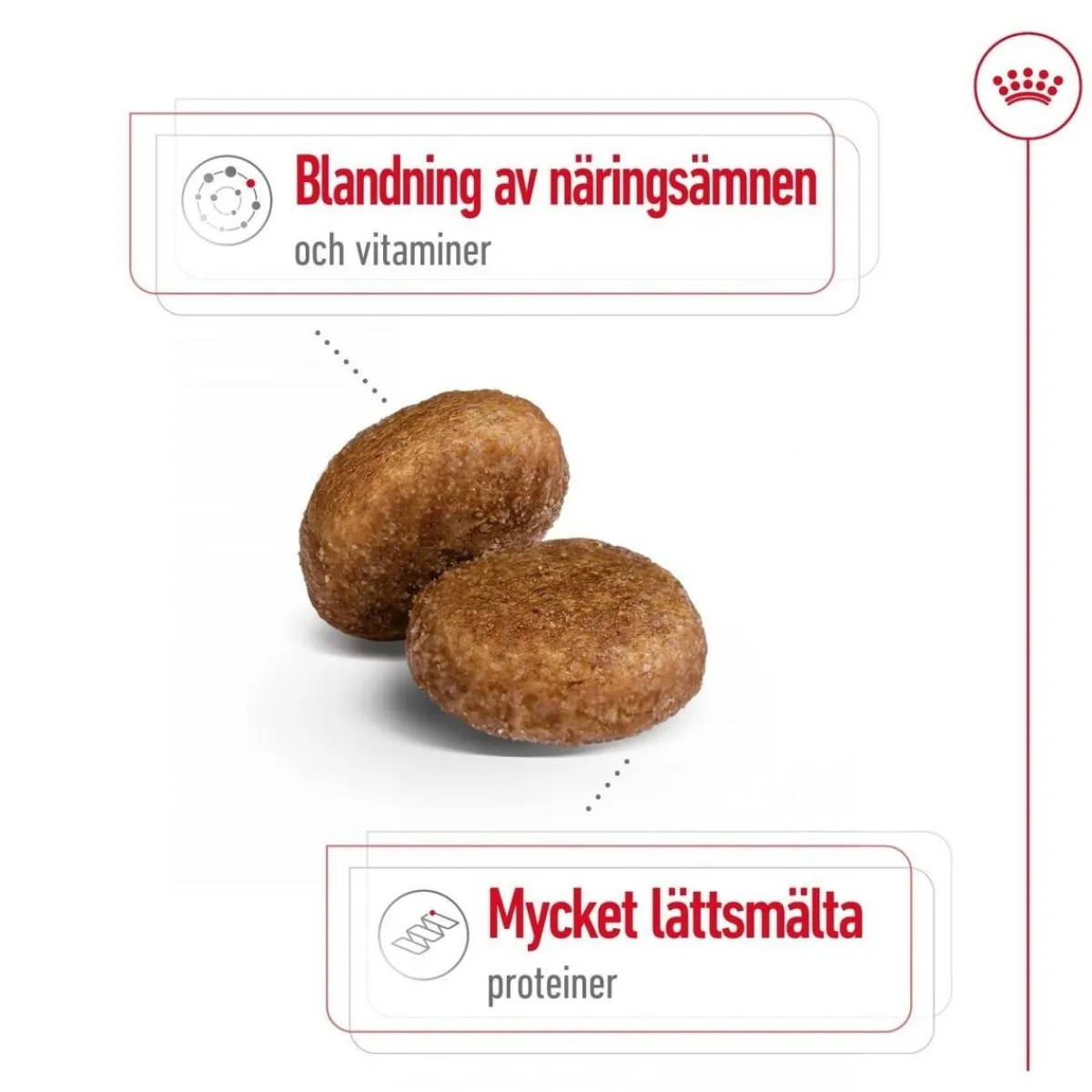 Maxi Adult 5+ 2 x 15kg>Royal Canin Online