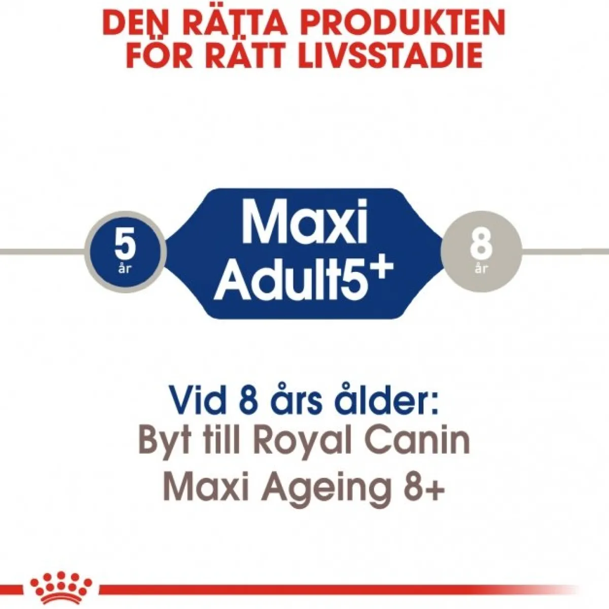 Maxi Adult 5+ 2 x 15kg>Royal Canin Online