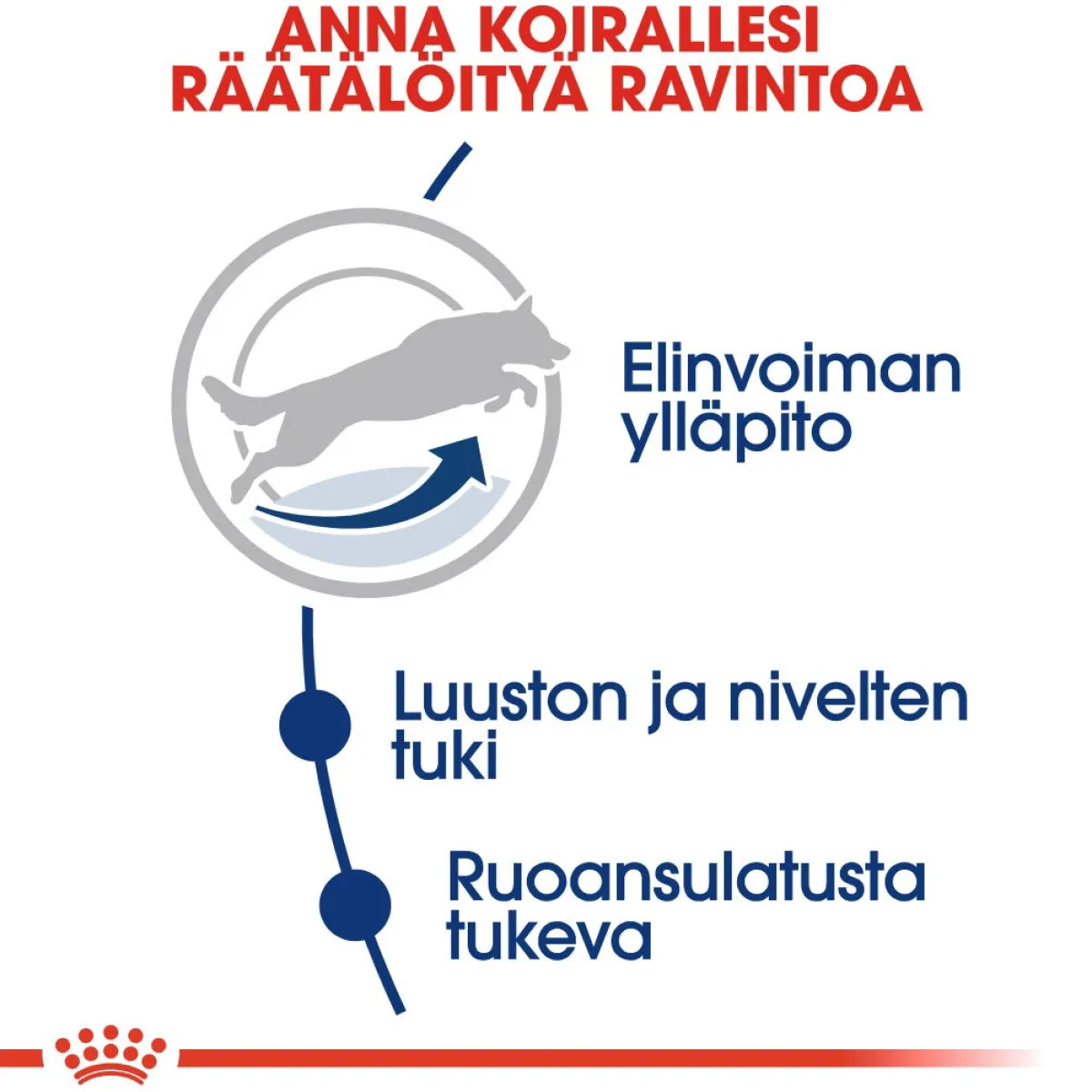 Maxi Adult 5+ 2 x 15kg>Royal Canin Online