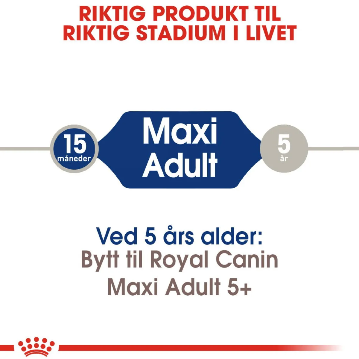 Maxi Adult 2 x 15 kg>Royal Canin Sale