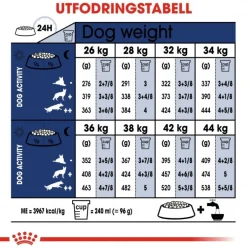 Maxi Adult 2 x 15 kg>Royal Canin Sale