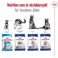 Maxi Adult 2 x 15 kg>Royal Canin Sale