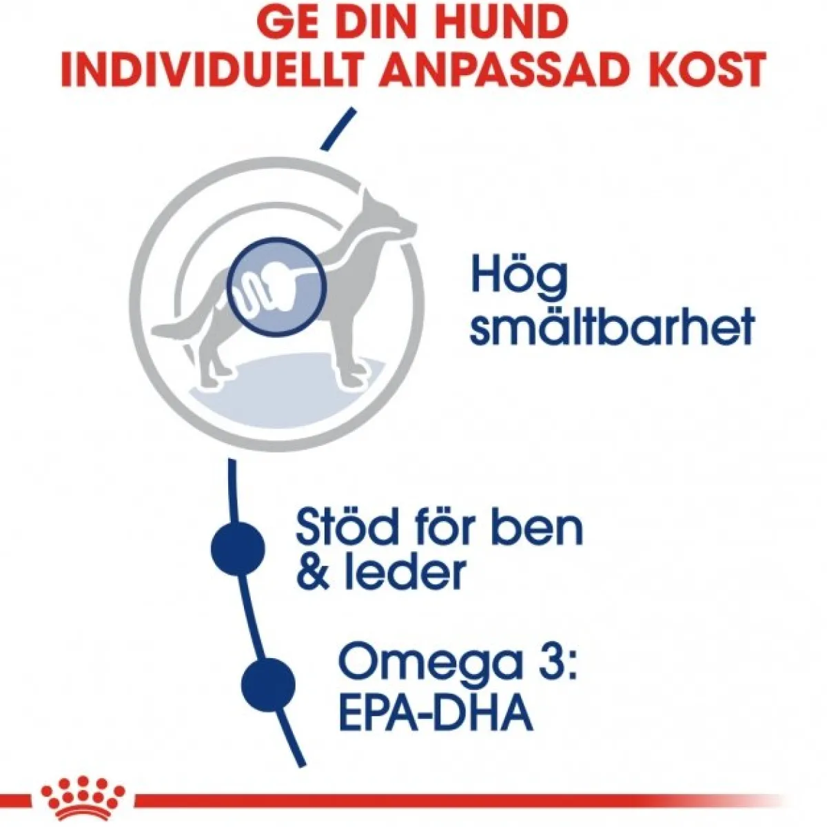 Maxi Adult 2 x 15 kg>Royal Canin Sale