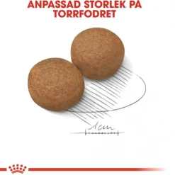Maxi Adult 2 x 15 kg>Royal Canin Sale