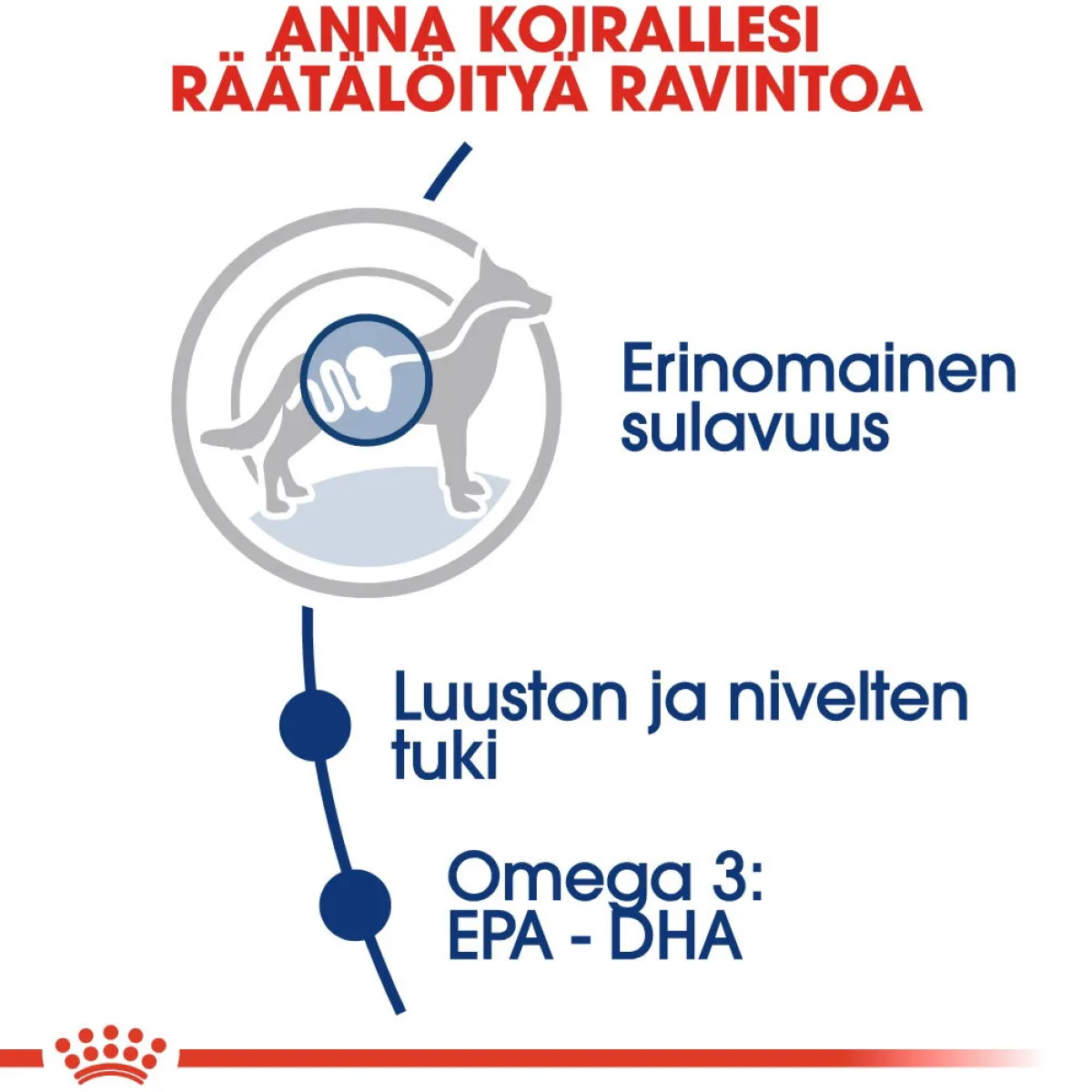 Maxi Adult 2 x 15 kg>Royal Canin Sale