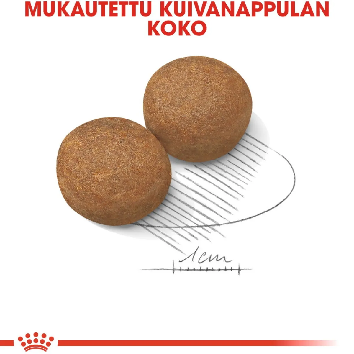 Maxi Adult 2 x 15 kg>Royal Canin Sale
