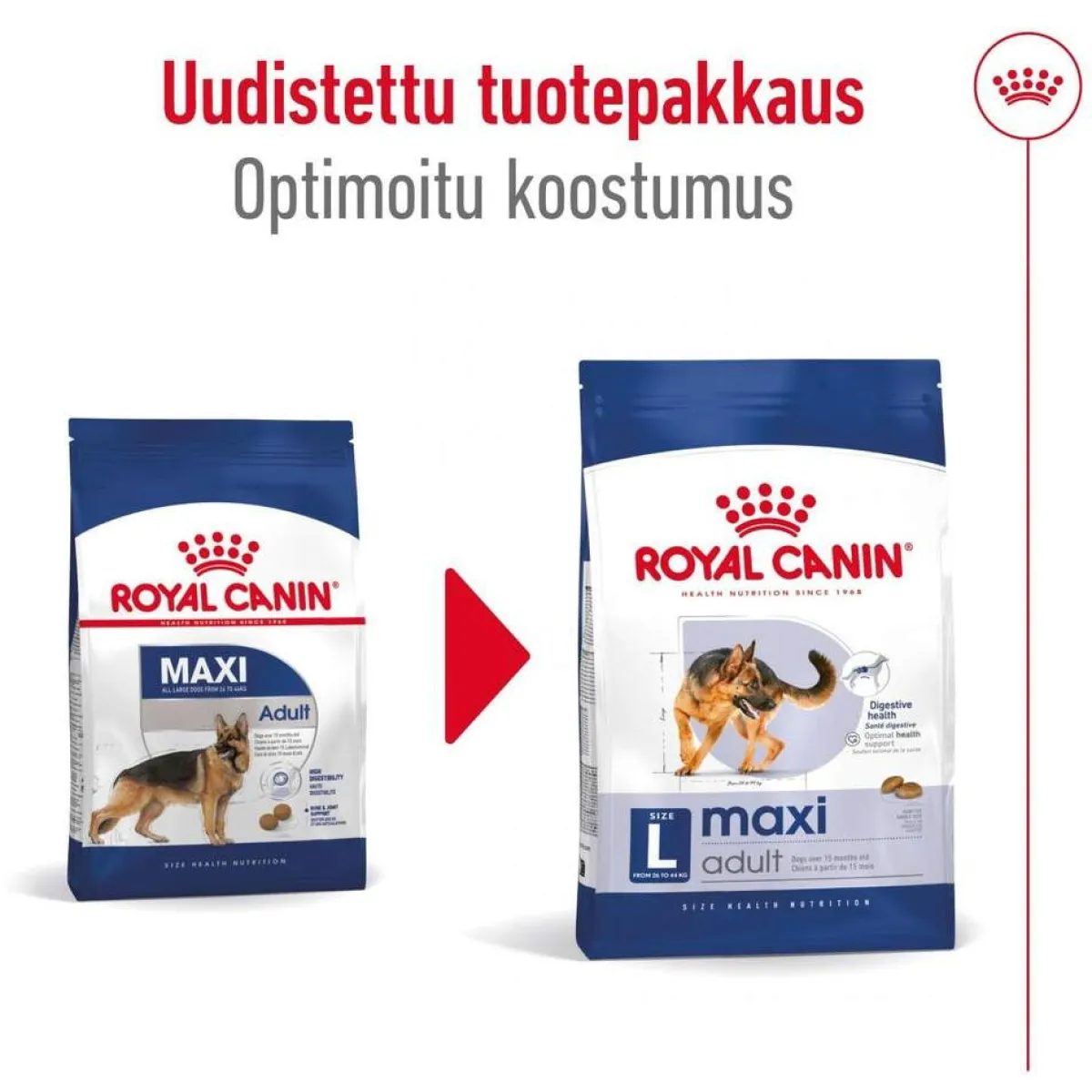 Maxi Adult 2 x 15 kg>Royal Canin Sale