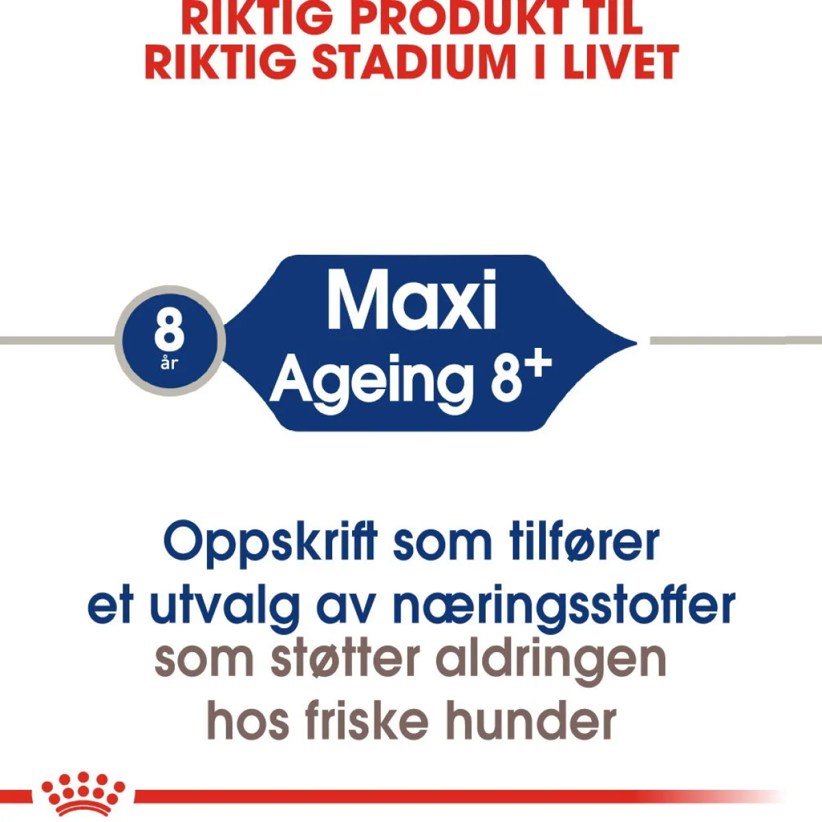 Maxi Ageing 8+ 2 x 15kg>Royal Canin Online