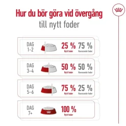 Maxi Ageing 8+ 2 x 15kg>Royal Canin Online