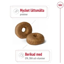 Maxi Ageing 8+ 2 x 15kg>Royal Canin Online
