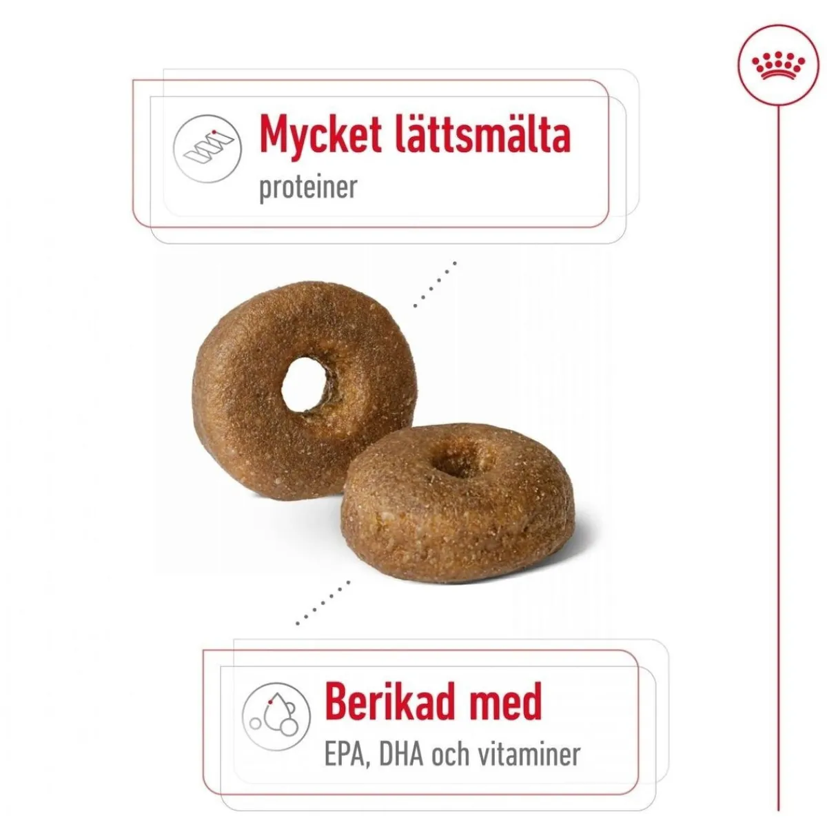 Maxi Ageing 8+ 2 x 15kg>Royal Canin Online