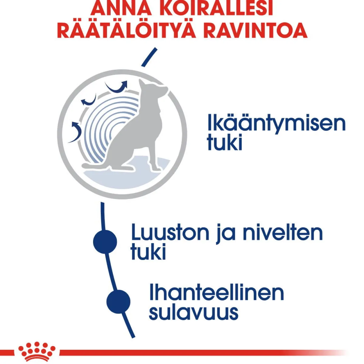 Maxi Ageing 8+ 2 x 15kg>Royal Canin Online